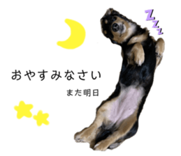 460936119