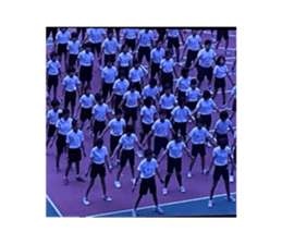 460947887