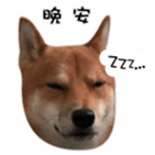 460983498