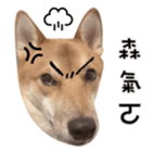 460983499