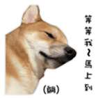 460983501