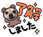 461159109