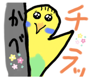 461261561