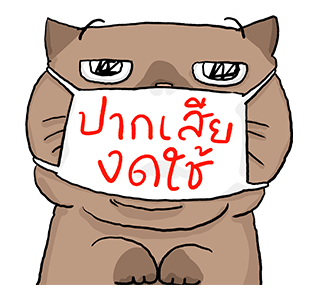แมวจ๋า | แฮปปี้ นิว นอร์มอล 2565 รูปที่ 4