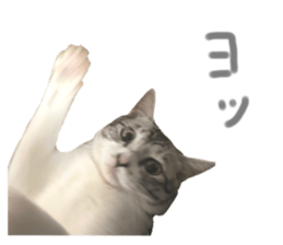 461339584