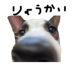 461560449