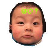 461566949