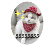 461570754