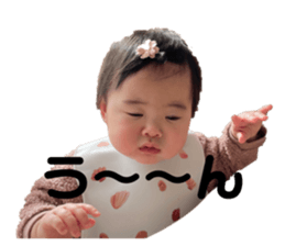 461596844