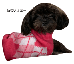 461625118