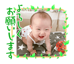 461801626
