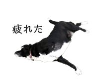 461994909