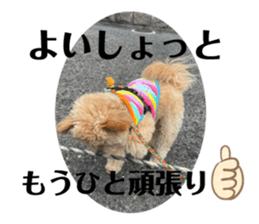 461996529