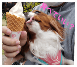 462040968