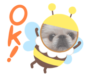 462050195