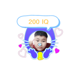 462080444