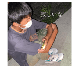 462093119