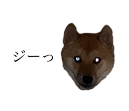 462183873