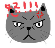 462197699