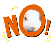 462224656