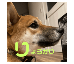 462286371