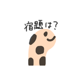 462297854