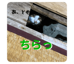 462298362