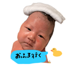 462305661