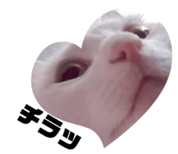 462308814