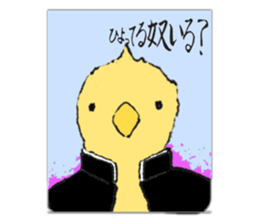 462350031