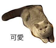 462472460