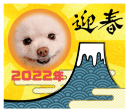 462488723