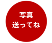 462580429