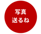 462580433