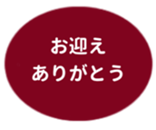 462580638