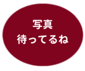462580649