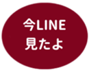 462580736