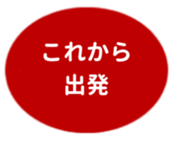 462580802