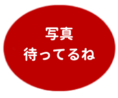 462580809