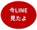 462580976