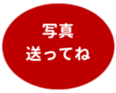 462581005