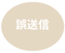 462581254