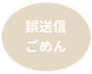 462581255