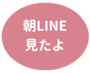 462581294