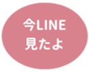 462581296