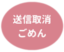 462581321