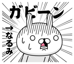 46262433