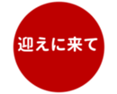 462643376