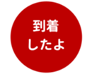 462643381