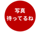 462643385